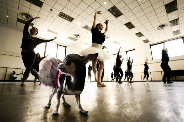 McFly's Daily Photo Flop