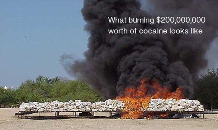 McFly's Daily Photo Flop