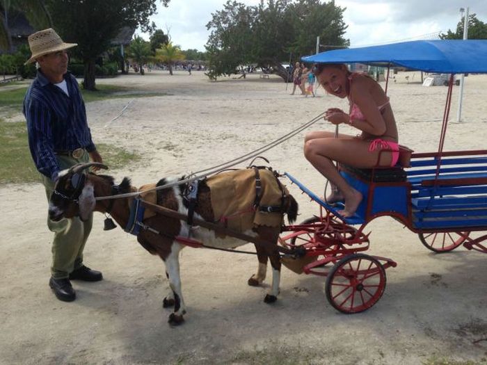 McFly's Daily Photo Flop