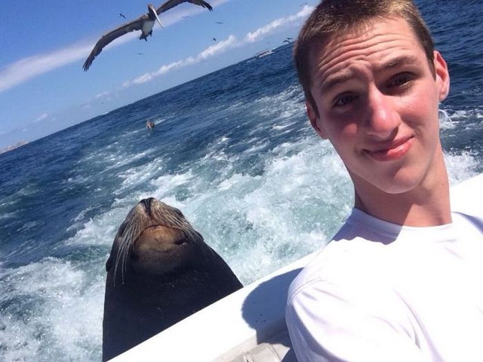 McFly's Daily Photo Flop