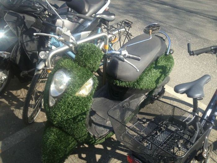 McFly's Daily Photo Flop