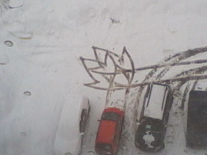 McFly's Daily Photo Flop