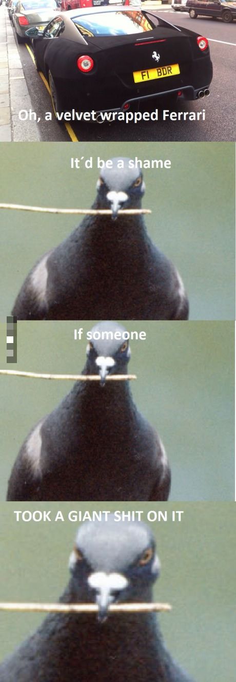 McFly's Daily Photo Flop