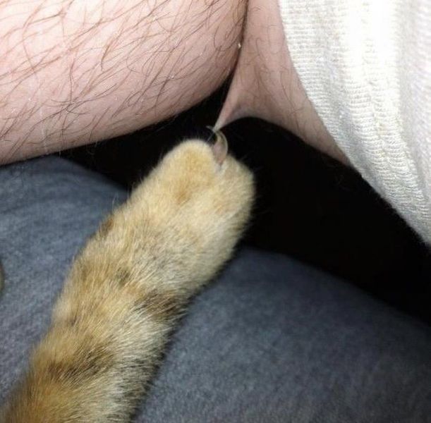 McFly's Daily Photo Flop