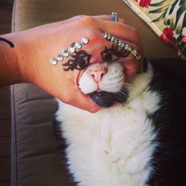 McFly's Daily Photo Flop