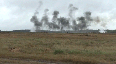 McFly's Daily Photo Flop