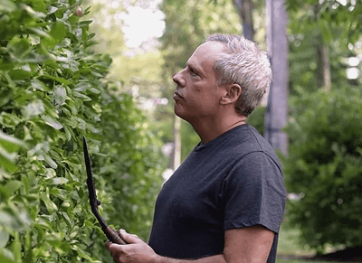 McFly's Daily Photo Flop