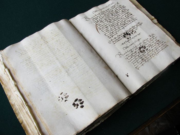 Inky paw prints left by a cat on a 15th century manuscript