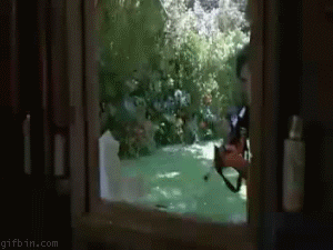 Great Gifs