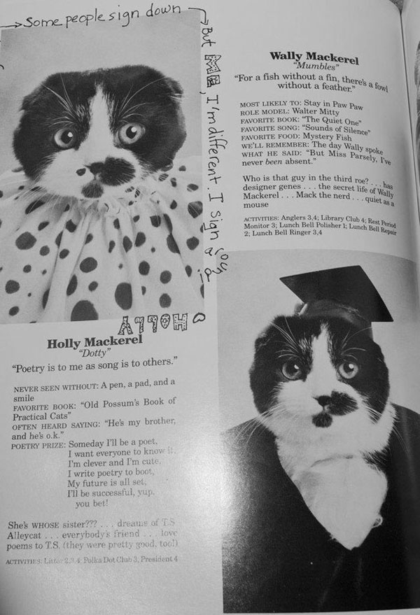 Cat High Yearbook