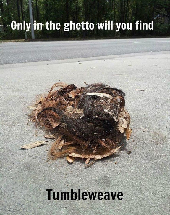 funny ghetto - Only in the ghetto will you find Tumbleweave