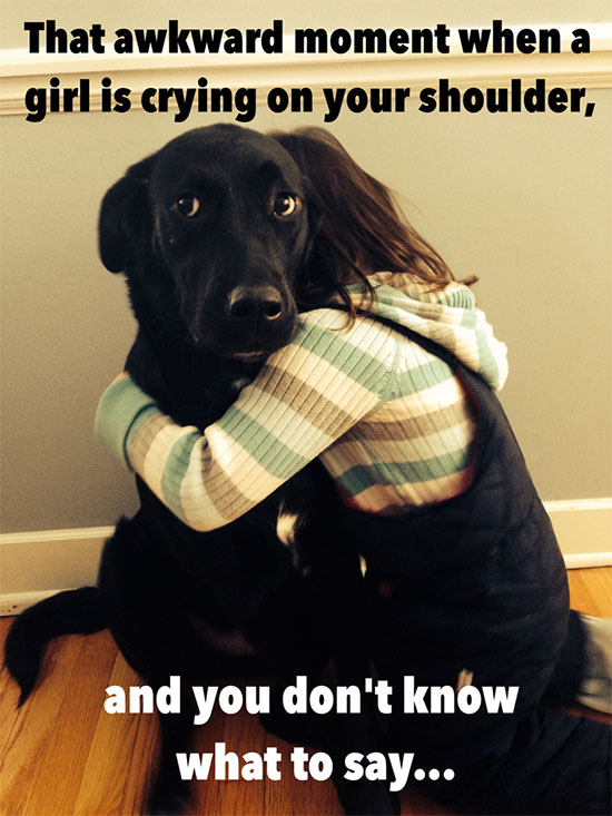 cute funny dog memes - That awkward moment when a girl is crying on your shoulder, and you don't know what to say...