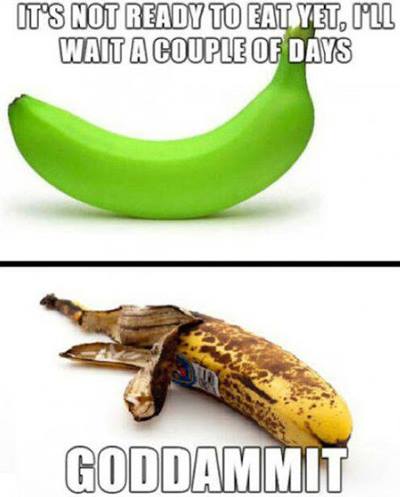 bananas meme - It'S Not Ready To Eat Yet, Oul Wait A Couple Of Days Goddammit
