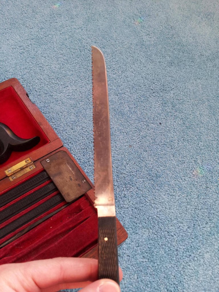 A small serrated knife.