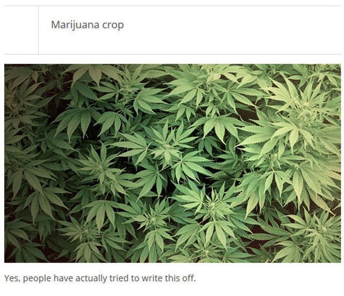 The Most Ridiculous Tax Deductions Of All Time