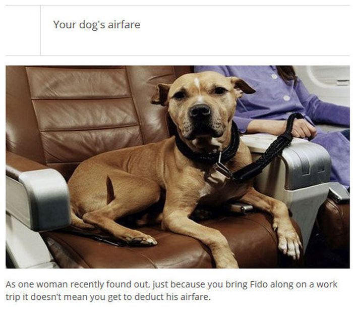 The Most Ridiculous Tax Deductions Of All Time