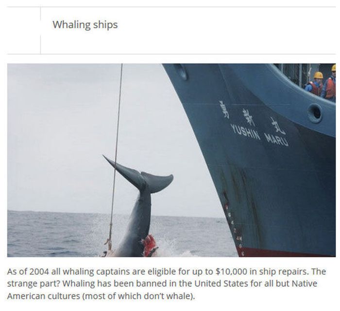 The Most Ridiculous Tax Deductions Of All Time