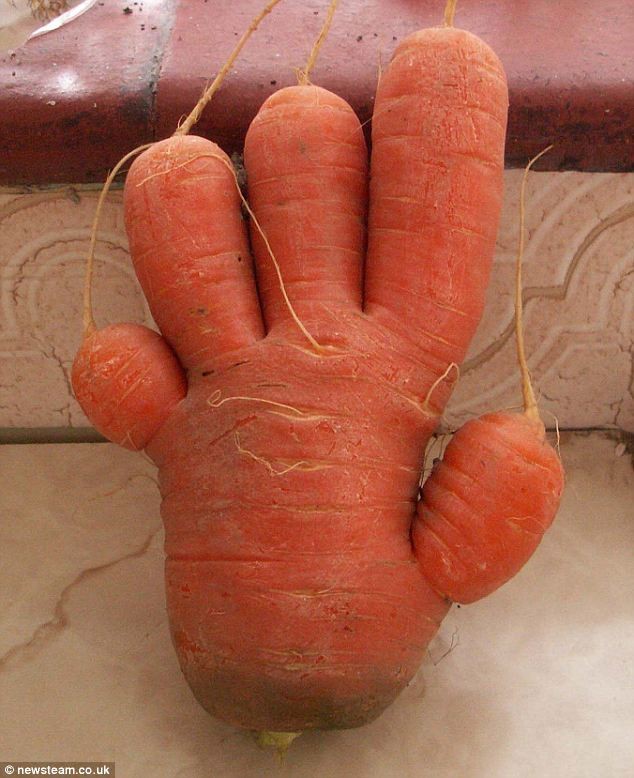 Hand carrot