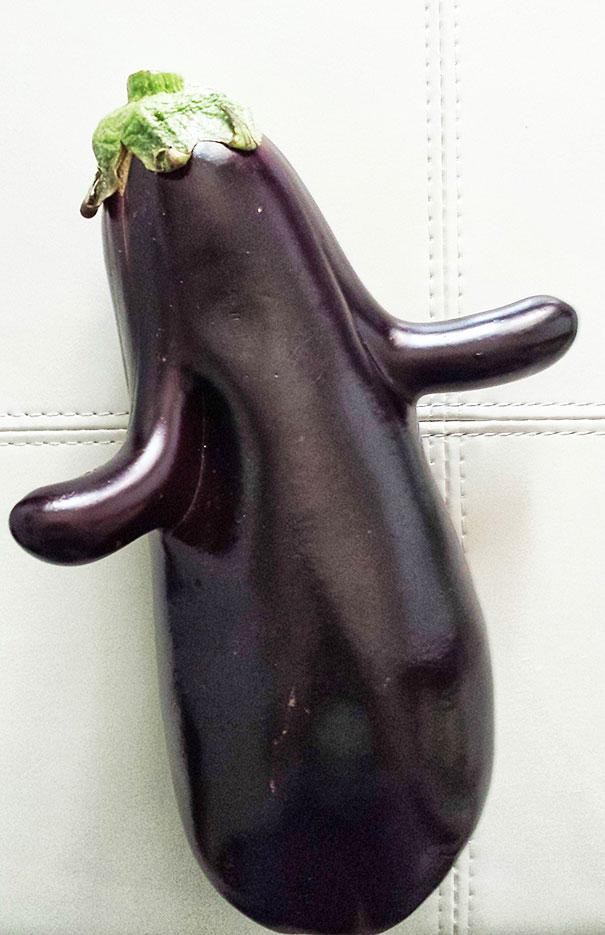 Exuberant eggplant!