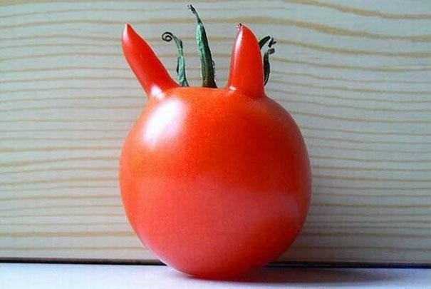 Devilish tomato