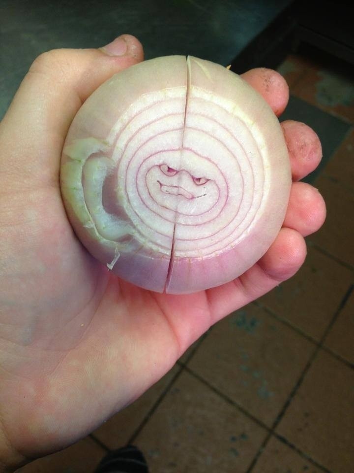 A very sinister onion