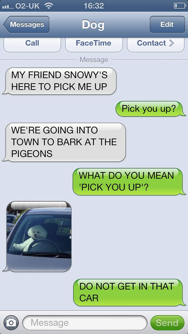 If Man's Best Friend Could Text