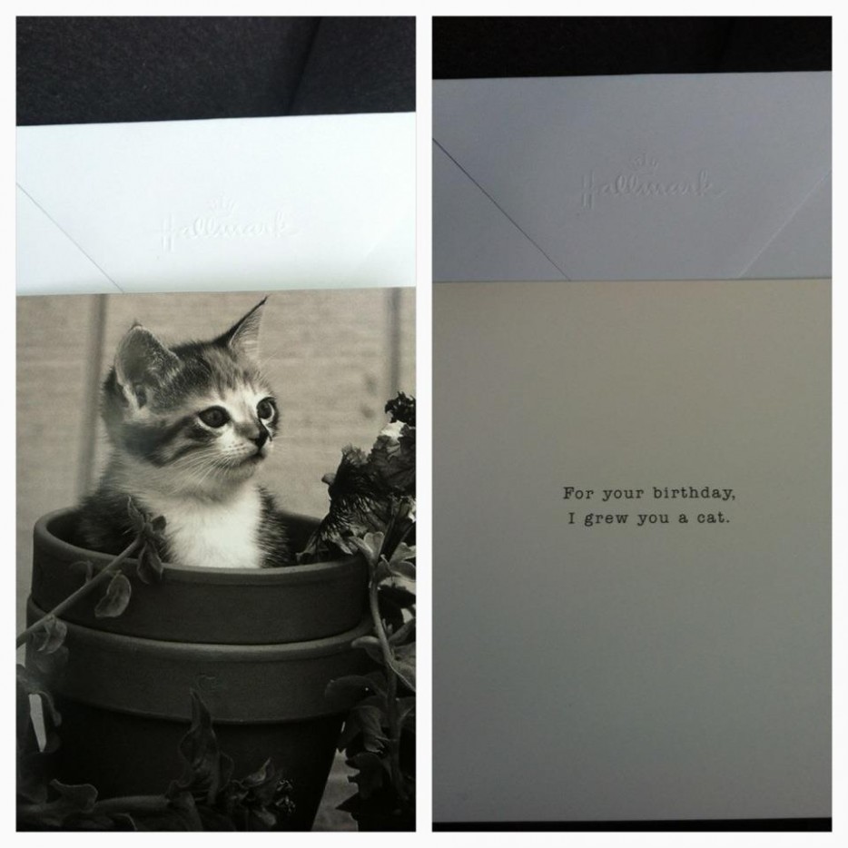 Hilarious Special Occasion Cards