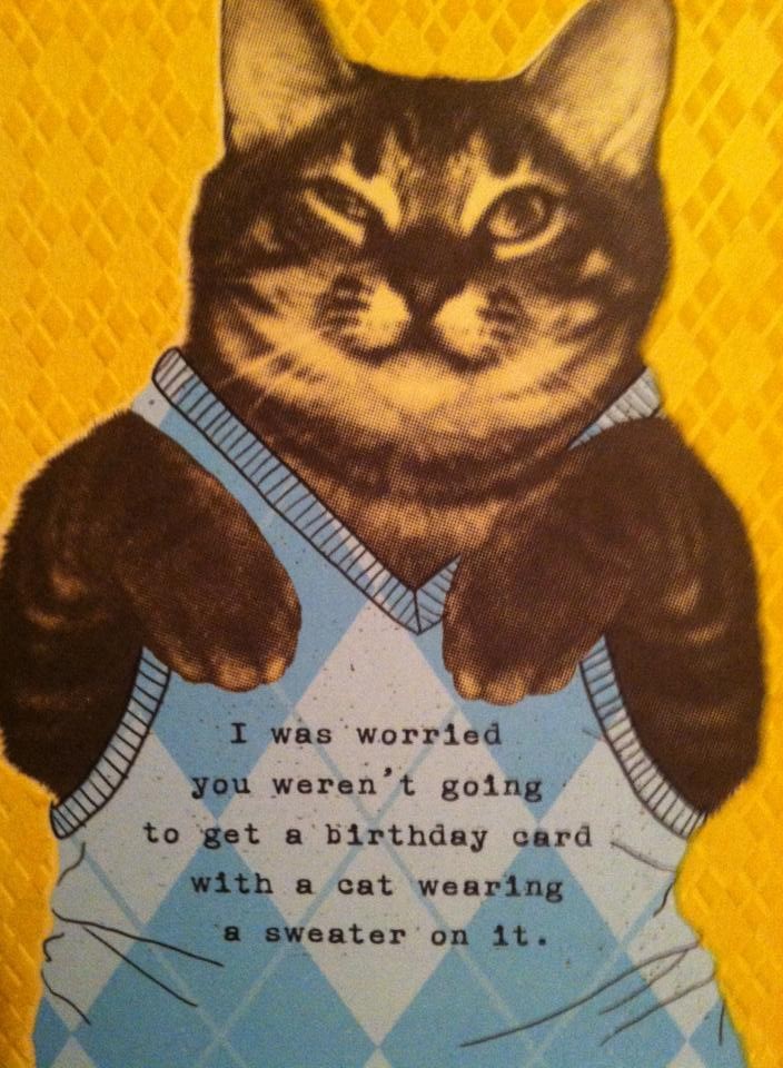 Hilarious Special Occasion Cards