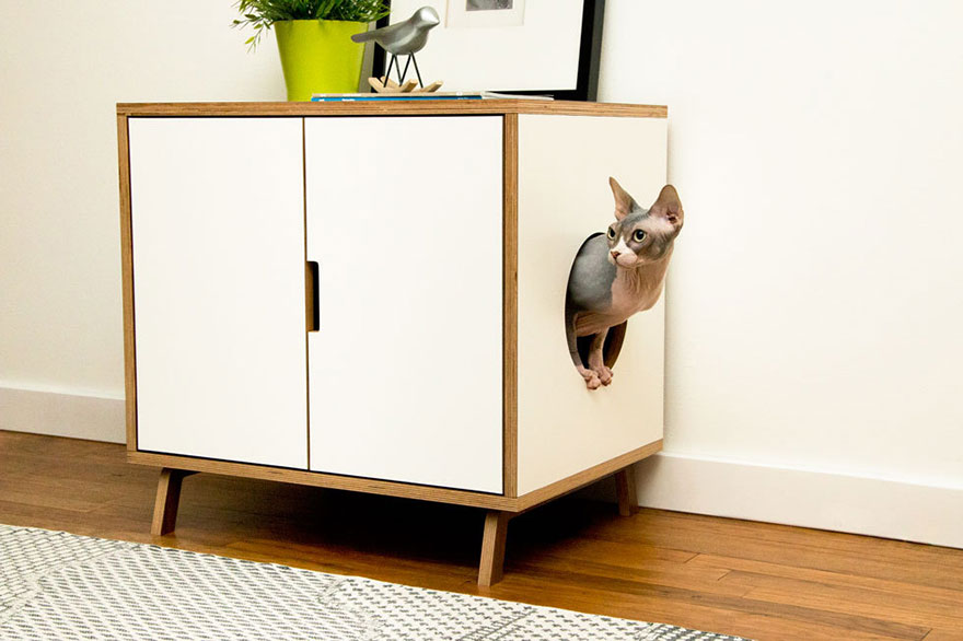 Purrrfect Furniture Ideas For Cats Lovers