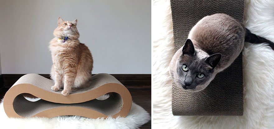 Purrrfect Furniture Ideas For Cats Lovers