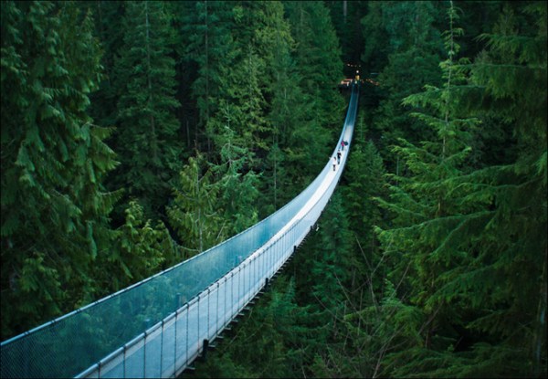 Not for the feint of heart, Capilano Suspension Bridge in Vancouver, Canada is pretty surreal amidst the trees