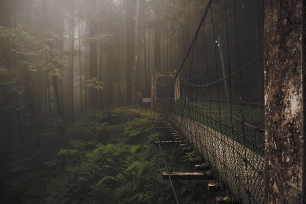 The tranquil surroundings of this forest bridge on Alishan Mountain in Taiwan in breathtaking