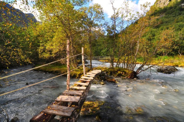 Makeshift wooden bridges hidden in the woods are an anonymously curious construction