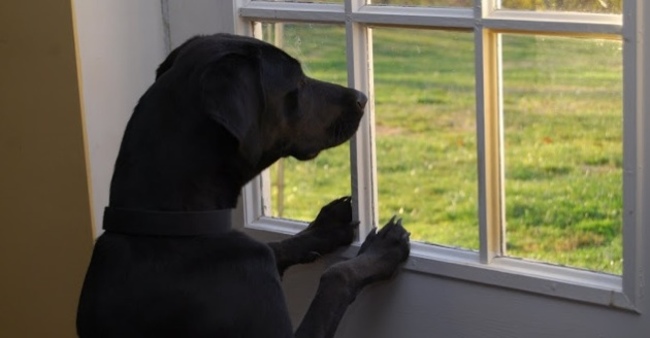 waiting for package to arrive