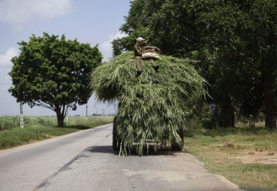 Dude, Maybe You Should Take Two Trips?