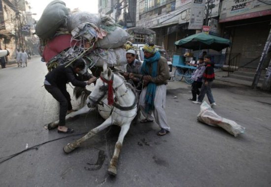 Dude, Maybe You Should Take Two Trips?