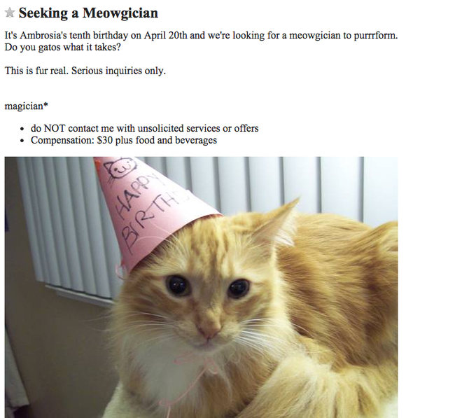 craigslist cat meme - Seeking a Meowgician It's Ambrosia's tenth birthday on April 20th and we're looking for a meowgician to purrrform. Do you gatos what it takes? This is fur real. Serious inquiries only. magician do Not contact me with unsolicited serv