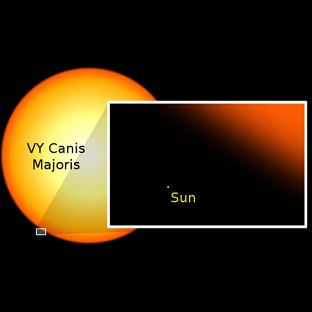 Which means that there are ones much, much bigger than what would be our relatively tiny sun. I mean, just look at it.