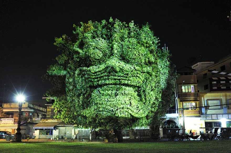 3D Projections on Trees.