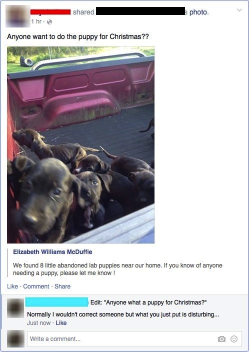 photo caption - d s photo 1 hr. Anyone want to do the puppy for Christmas?? Elizabeth Williams McDuffie We found 8 little abandoned lab puppies near our home. If you know of anyone needing a puppy, please let me know! Comment Edit "Anyone what a puppy for