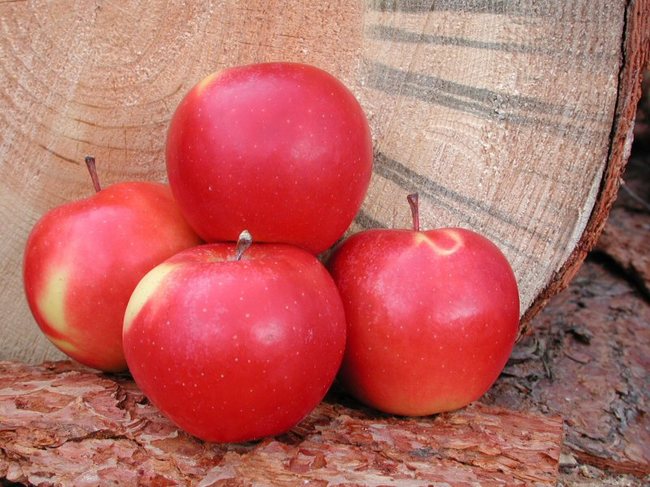 In Canada...1 buys you a single organic apple.
