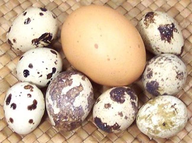 In Vietnam...1 buys you 40 quail eggs.