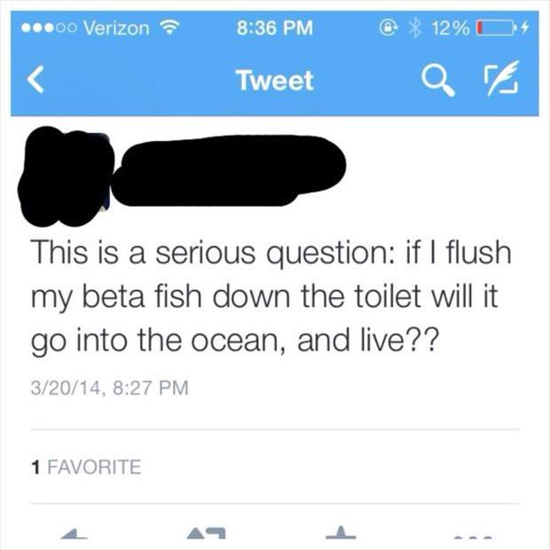 21 People With a Distinct Lack of Intelligence