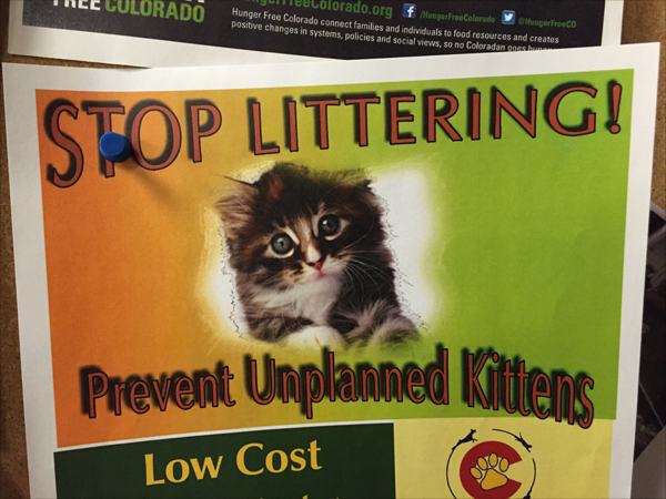 littering puns - Clolurar colorado.oraf Menuires Car r oca Hunger Free Colorado Connect families and individuals to food resources and creates positive changes in systems, policies and social news, so no Colorada con Stop Littering! Prevent Unplanned Kitt