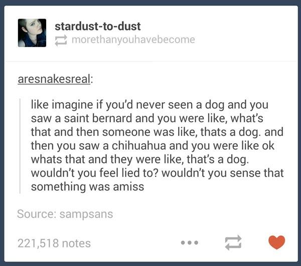 tumblr - document - stardusttodust morethanyouhavebecome aresnakesreal imagine if you'd never seen a dog and you saw a saint bernard and you were , what's that and then someone was , thats a dog. and then you saw a chihuahua and you were ok whats that and