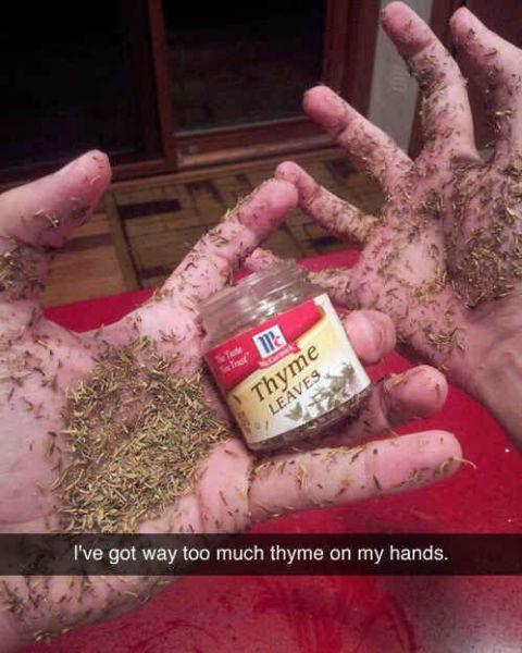 snapchat too much thyme on my hands - Ser Pneuf me Thyme Leaves I've got way too much thyme on my hands.