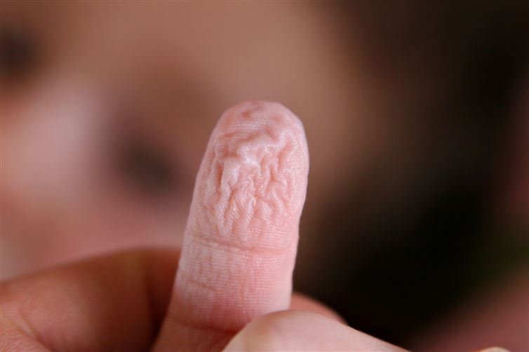 Why do our fingers get wrinkly in the shower? Scientists have figured out why our fingers and toes get wrinkly during bath-time. It actually has nothing to do with absorbing the water, and everything to do with improving our grip on things underwater. Think of it like the treads in a tire giving a much better grip in slippery conditions. The human body is amazing.