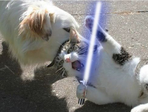 19 Of The Best Photoshopped Lightsaber Battles
