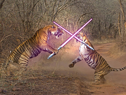 19 Of The Best Photoshopped Lightsaber Battles