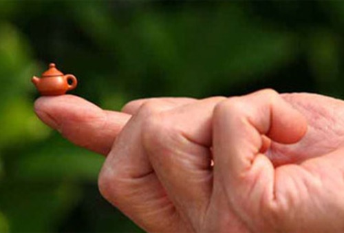 19 Adorable Pictures of the Tiniest Things You've Ever Seen